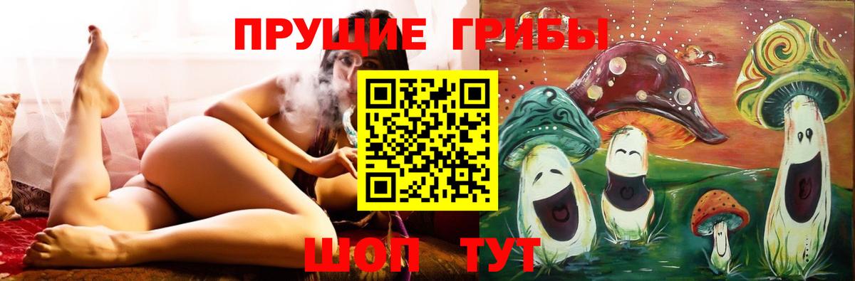 Галлюциногенные грибы Cubensis  Вход с VPN  Касимов 