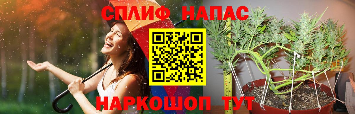 Марихуана конопля Касимов
